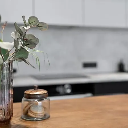 Apartment Luxury Loft In Tallinn