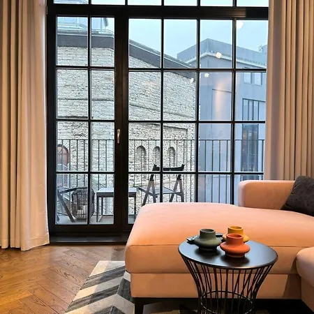 شقة Luxury Loft In تالين