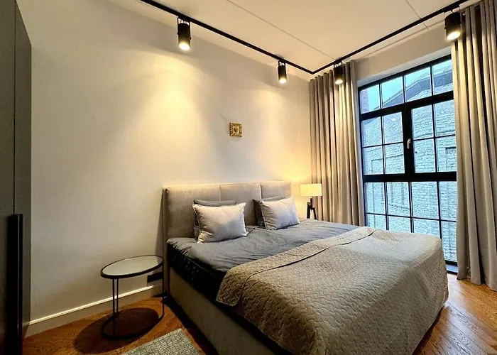 Luxury Loft In Apartment