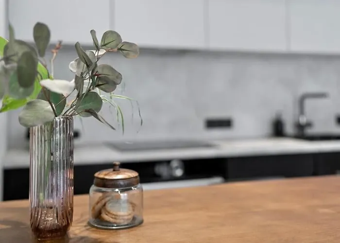 Apartament Luxury Loft In Tallin