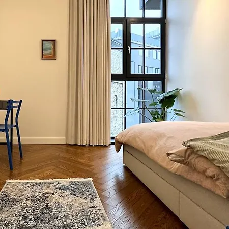 Luxury Loft In Lägenhet Tallinn
